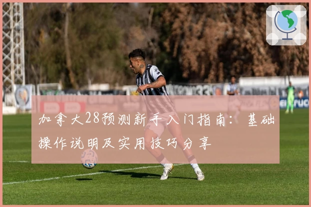 加拿大28预测新手入门指南：基础操作说明及实用技巧分享