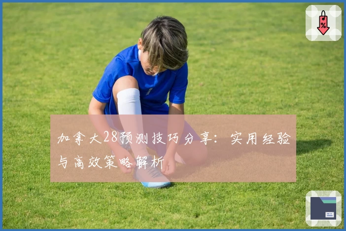 加拿大28预测技巧分享：实用经验与高效策略解析