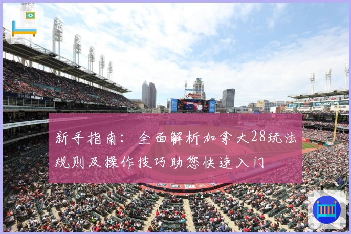 新手指南：全面解析加拿大28玩法规则及操作技巧助您快速入门