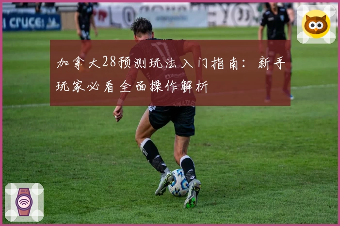 加拿大28预测玩法入门指南：新手玩家必看全面操作解析