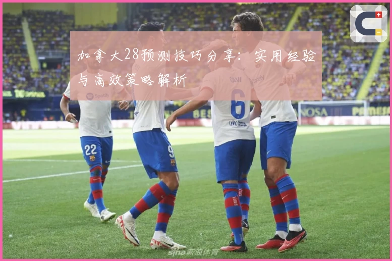 加拿大28预测技巧分享：实用经验与高效策略解析