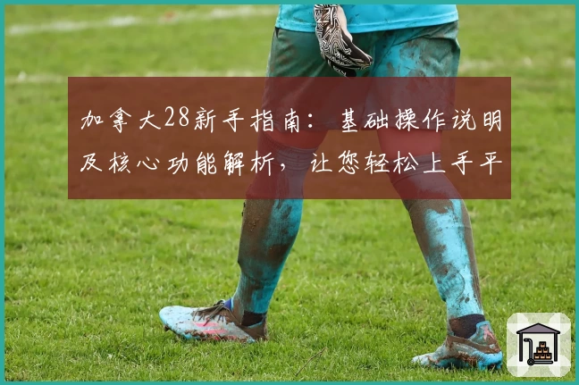 加拿大28新手指南：基础操作说明及核心功能解析，让您轻松上手平台