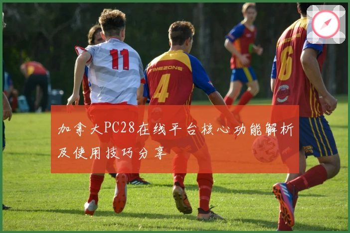 加拿大PC28在线平台核心功能解析及使用技巧分享