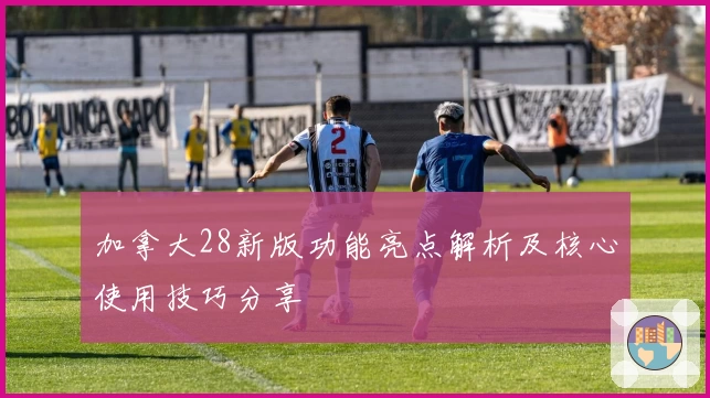 加拿大28新版功能亮点解析及核心使用技巧分享