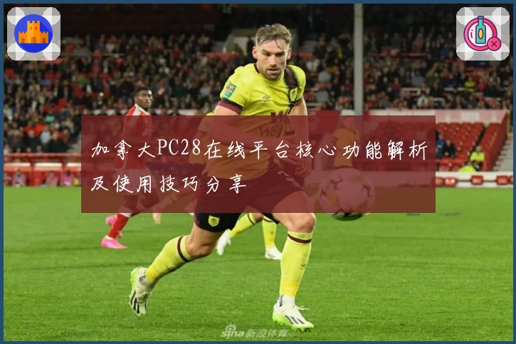 加拿大PC28在线平台核心功能解析及使用技巧分享